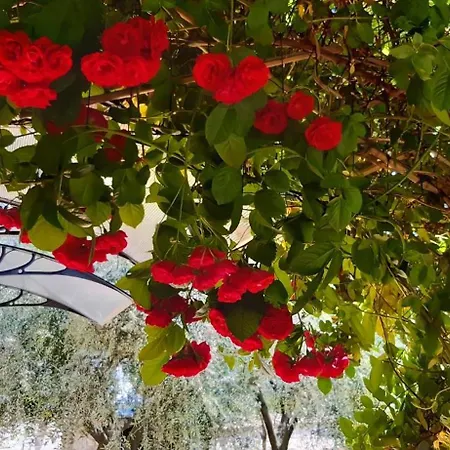 Mit Schoenem Garten Und Sonnenterrasse 度假居 梅杜林