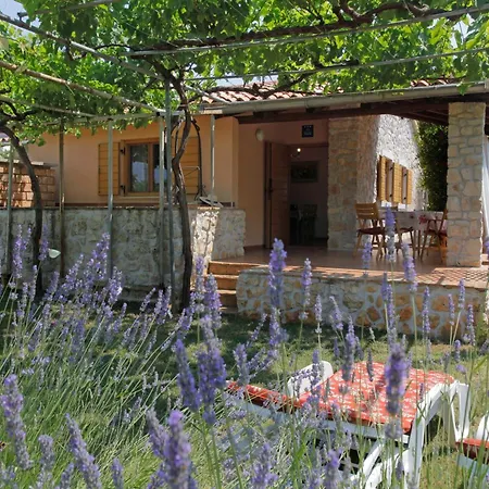 Mit Schoenem Garten Und Sonnenterrasse